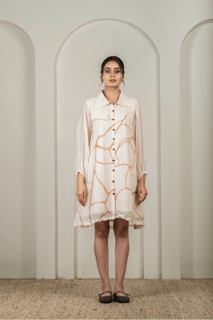 Beige & Brown Print Organza Shirt Dress