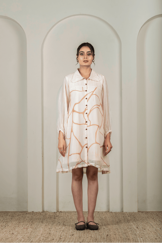 Beige & Brown Printed Organza Shirt Dress