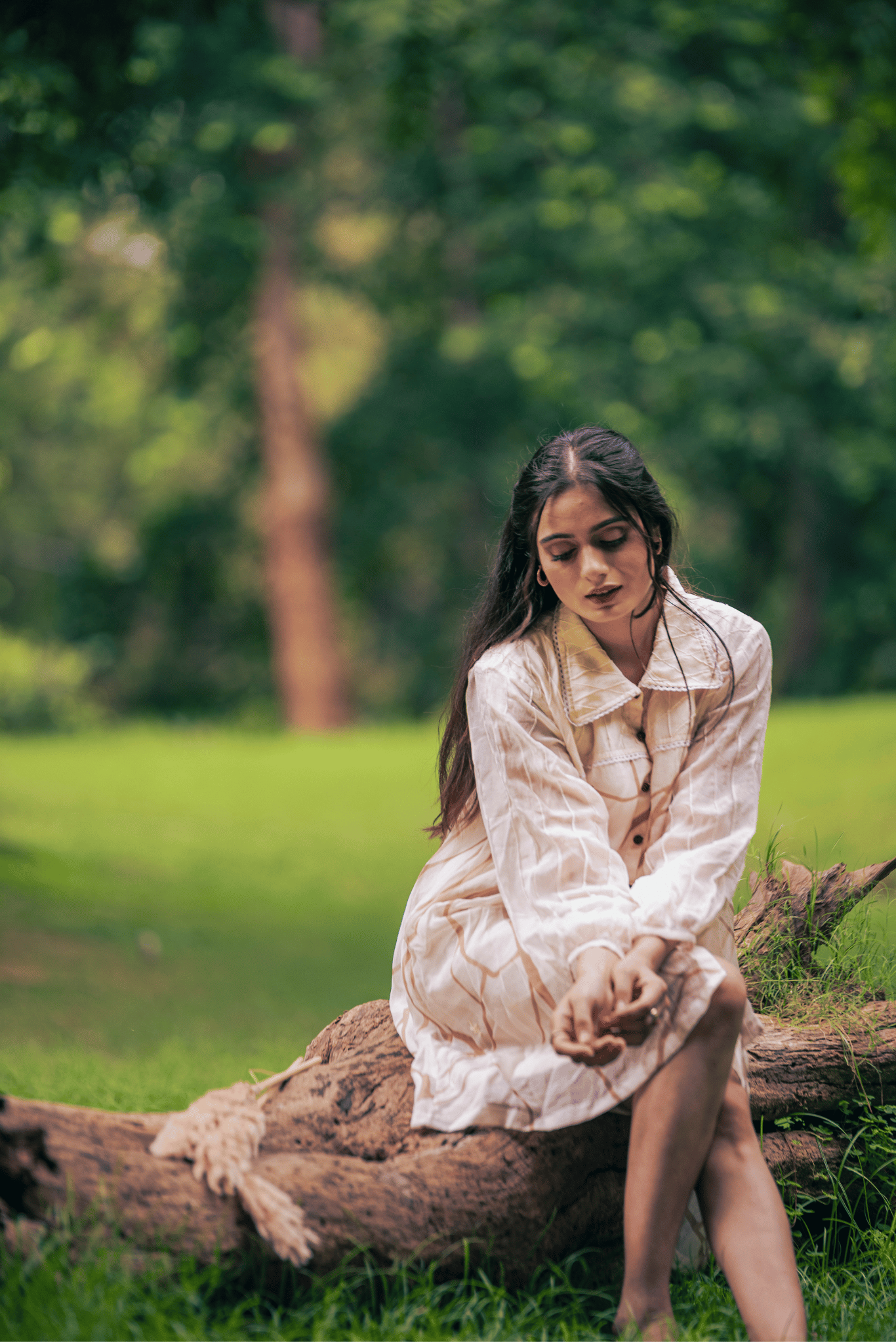 Beige & Brown Print Organza Shirt Dress