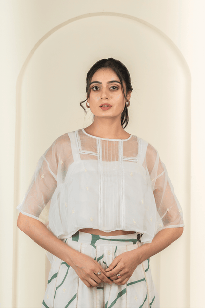Sheer Organza Embroidered Top