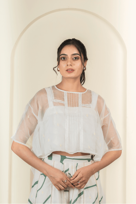 Sheer Organza Embroidered Top