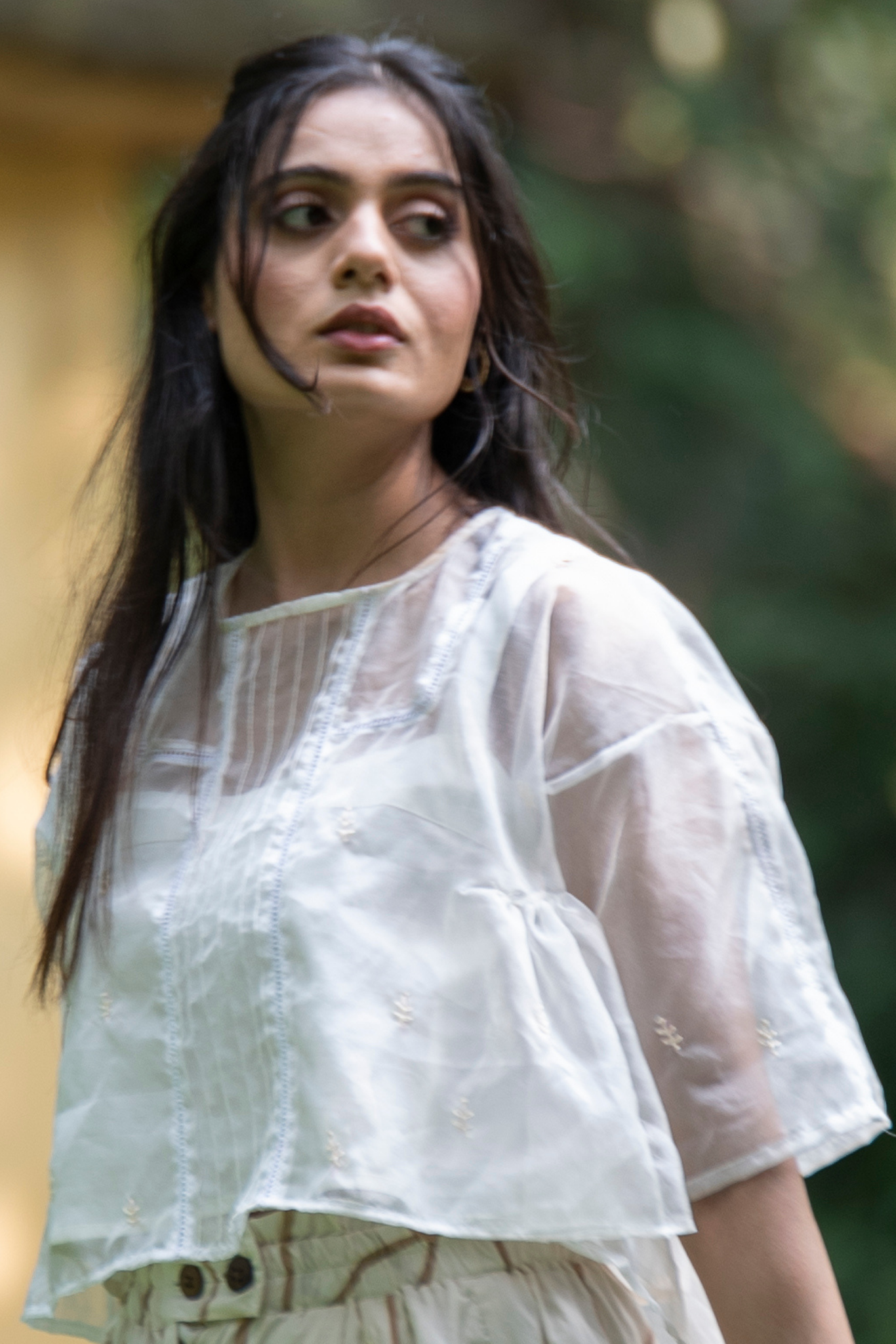 Sheer Organza Embroidered Top