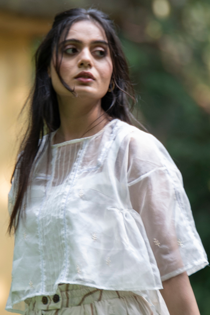 Sheer Organza Embroidered Top